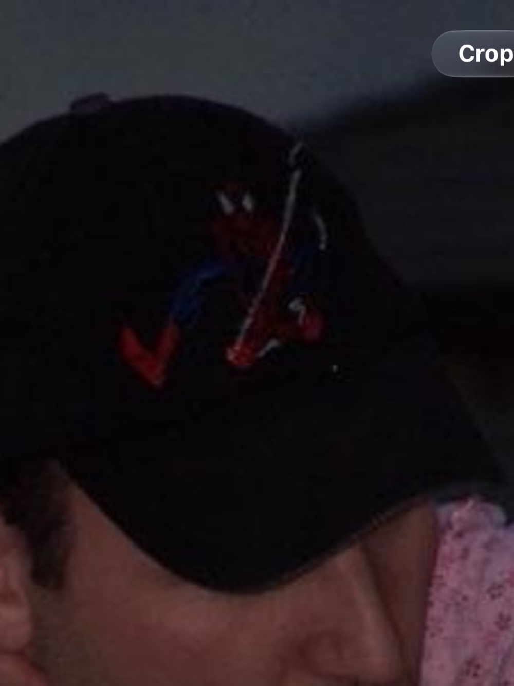 ISO 2001 Vintage Spiderman Hat